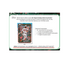 2024 Topps Holiday Baseball Advent Calendar Box