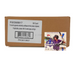 2024 Topps Pro Debut Baseball Hobby Jumbo 8-Box Case