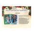 2025-26 Topps Holiday Basketball Mega Box