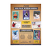 2025 Pulse Meridian Baseball Hobby Box