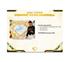 2025 Topps Diamond Icons Baseball Hobby 2-Box Case