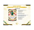 2025 Topps Diamond Icons Baseball Hobby 2-Box Case