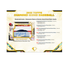 2025 Topps Diamond Icons Baseball Hobby 2-Box Case
