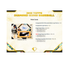 2025 Topps Diamond Icons Baseball Hobby 2-Box Case