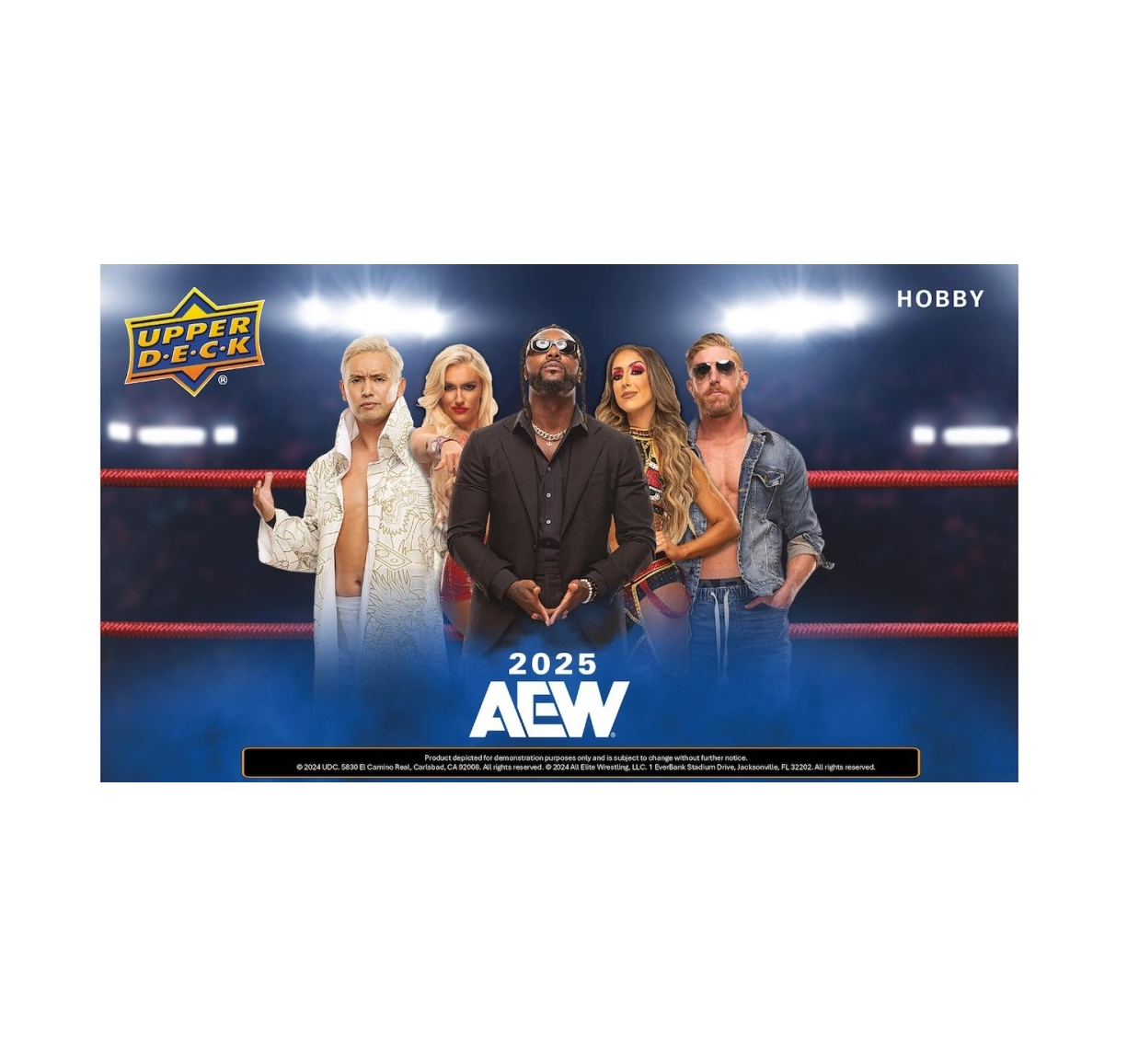 2025 Upper Deck AEW Wrestling Hobby 12-Box Case