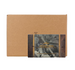 2025 Leaf History Book Sports Edition Chapter 2 10-Box Case