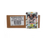 2025 Panini Donruss WNBA Basketball Blaster 20-Box Case