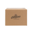 2026 Leaf City of Champions Hobby 10-Box Case