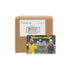 2026 Topps Graphite Tennis Hobby 12-Box Case