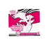 Pokemon Scarlet & Violet White Flare Elite Trainer Box