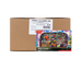 Pokemon Mega Lucario ex Premium Figure Collection 6-Box Case