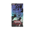 Yu-Gi-Oh Legendary Modern Deck 12-Box Case