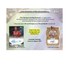 2023 Bowman Sterling Baseball Hobby Box